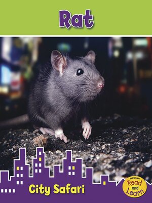 cover image of Rat
